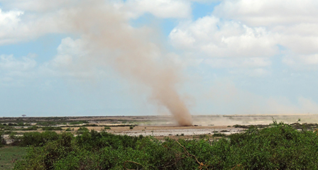 Image of a dust devil