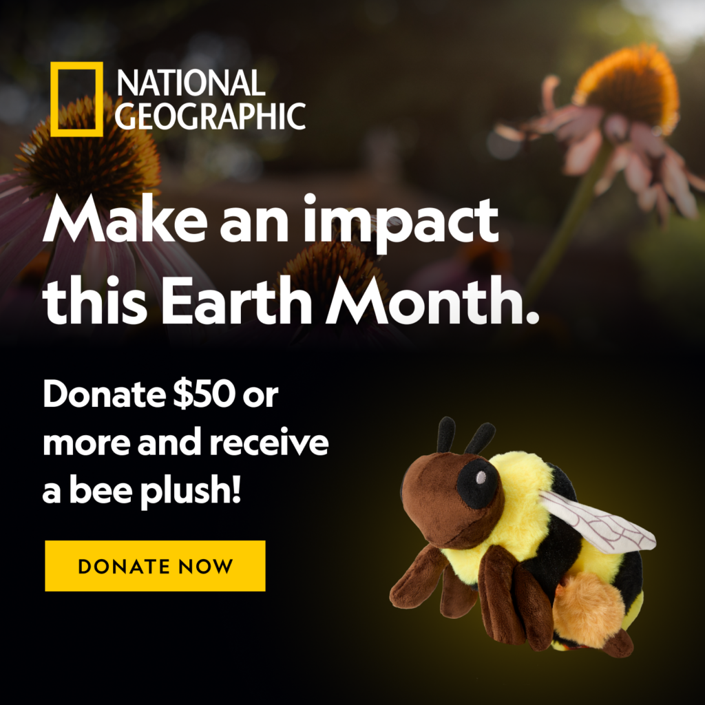 Make an impact this Earth Month. Donate $50 or more to National Geographic Society and receive a bee plush!